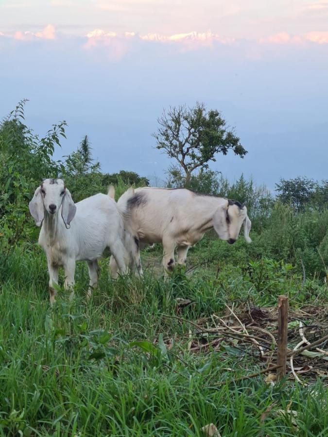 Nagarkot Trekkers Inn Экстерьер фото